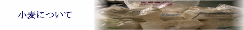 天然酵母パンに関する総合サイト 天然酵母パンでスローフードを楽しもう